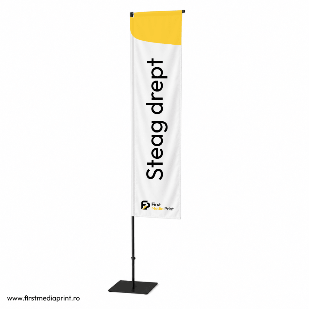 steag drept fisrt media print